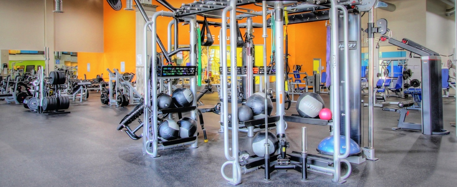 Onelife Fitness Alexandria Gym and Health Club